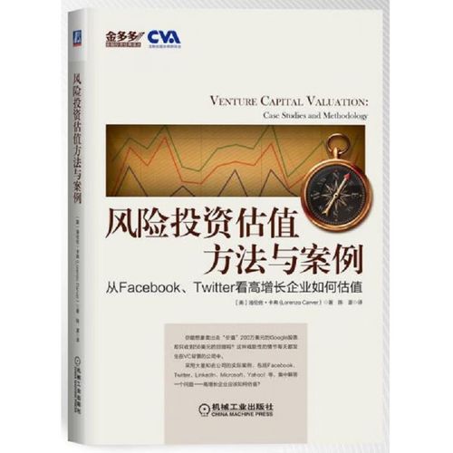 风险投资估值方法与案例 基于洛伦佐·卡弗的创业投资视角